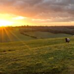 Sunset on Botley Hill